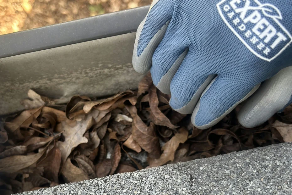 Gutter Cleaning Beech Grove