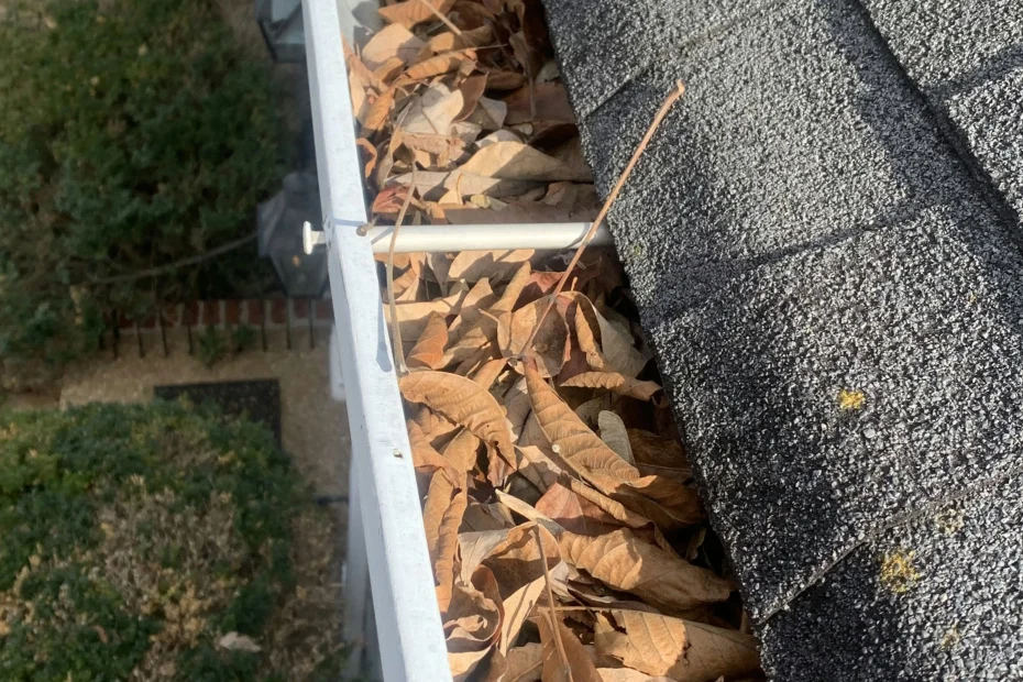 Gutter Cleaning Beech Grove